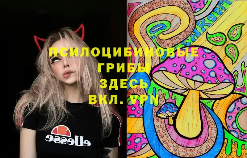 Псилоцибиновые грибы Magic Shrooms  Когалым 